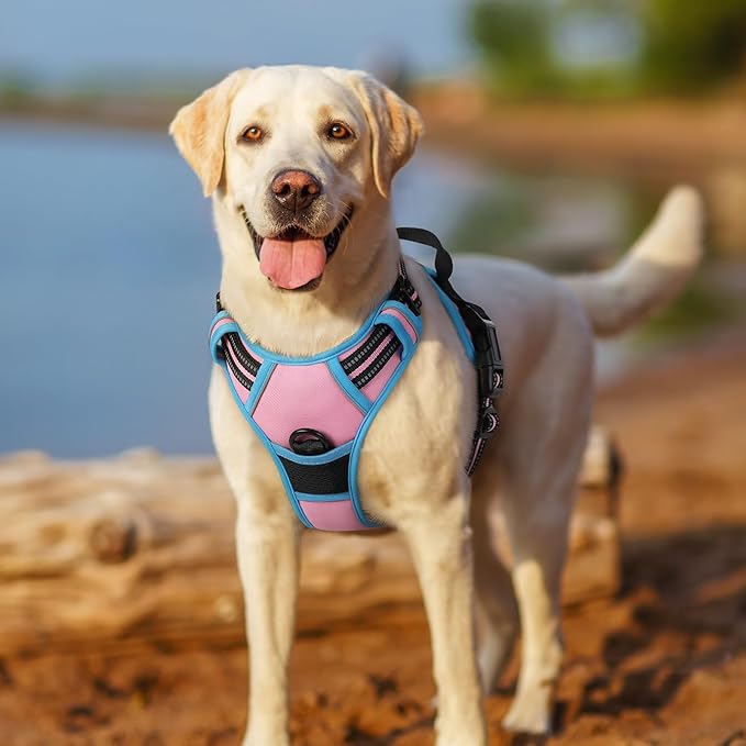 rabbitgoo Dog Harness No Pull with 2 Leash Clips, Adjustable Soft Padded, Reflective Oxford No Choke Pet Vest with Easy Control Handle for Large Dogs, Pink & Blue, XL