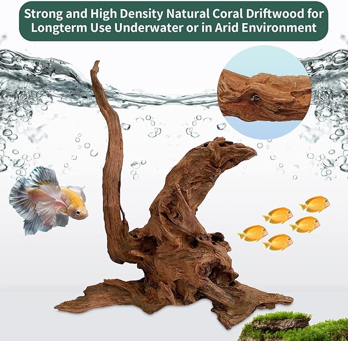 Hamiledyi 2 Pcs Large Driftwood for Aquarium 8-18 Inch Driftwood Branches Reptiles Aquarium Decoration Assorted Size Natural Habitat Decor Wood for Lizad
