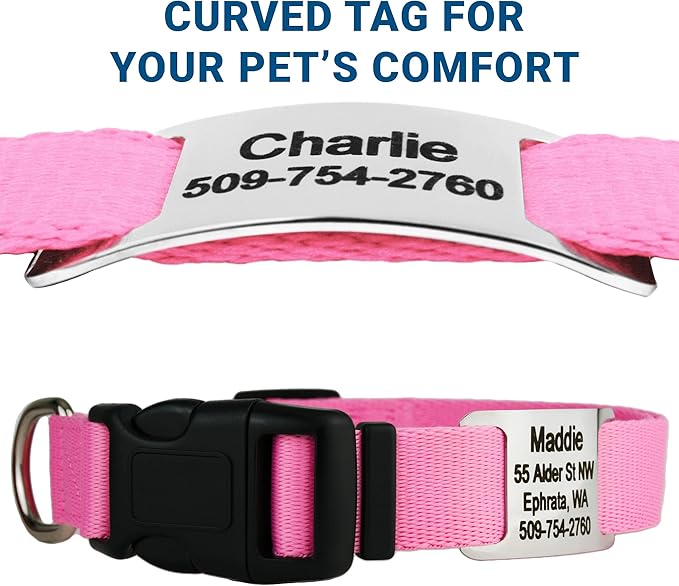 GoTags Personalized Dog Collar with Nameplate, Adjustable Dog Collar with Custom Engraved Slide On Pet ID Tag in Stainless Steel, Silent, No Noise Dog Tag for Large Medium and Small (Pink, Small)