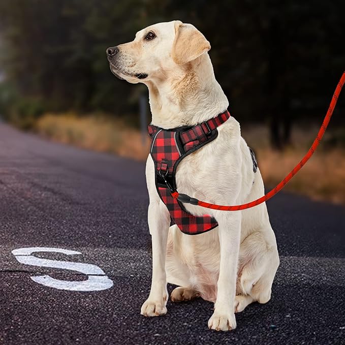 IVY&LANE No Pull Dog Harness with Leash Set, Reflective No Choke Pet Vest,Adjustable Oxford Dog Vest Harness with Easy Control Handle for Medium Lagre Dogs (Checkered Red,M)
