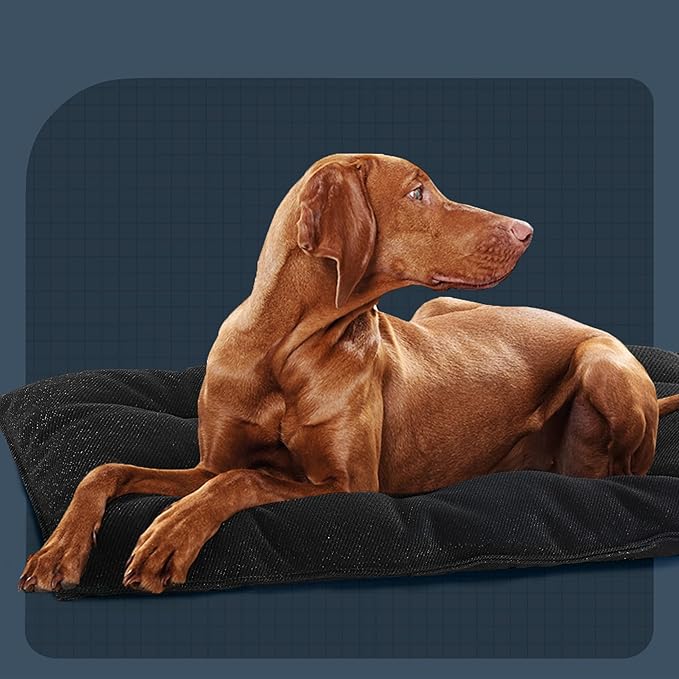 MABOZOO Dog Bed, Indestructible Chew Proof Pet Bed Mat, Durable Polyester, Large 35x22 inches, Black, for Aggressive Chewers, Crate Pad, Machine Washable