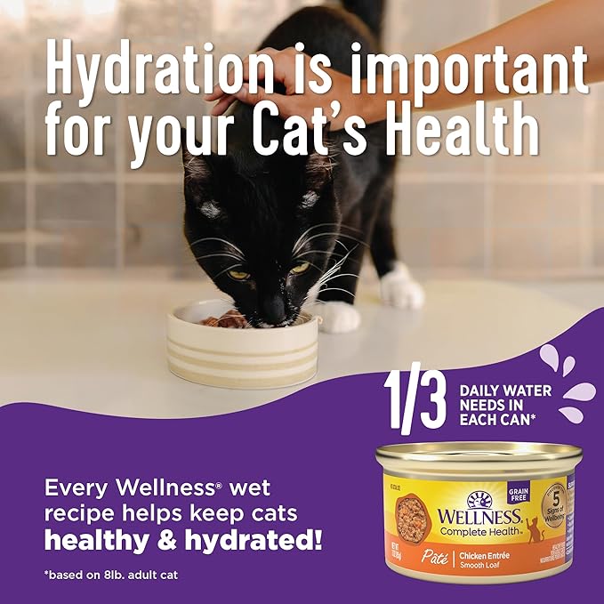 Wellness Complete Health Gravy Adult Wet Cat Food, Natural, Protein-Rich, Grain Free, 3 Ounce, 12 Pack, (Chicken & Tuna Dinner)