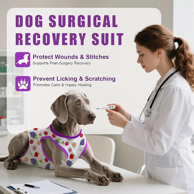 Recovery Suit for Dogs After Surgery, Professional Dog Surgical Suit for Female Spay, Male Neuter, E-Collar & Cone Alternative Dog Onesie for Abdominal Wounds Skin Disease, Purple, L