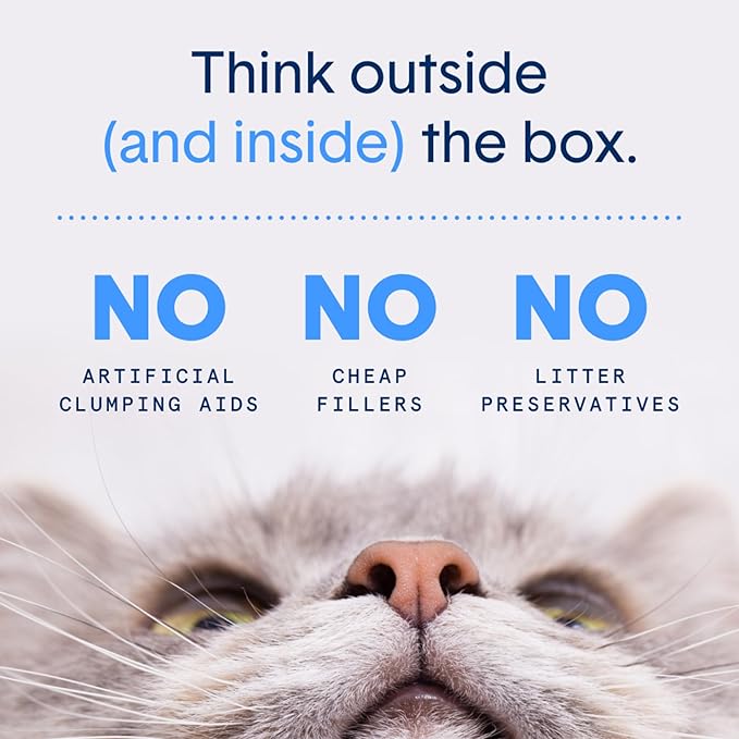 Boxie® Extra Strength Cat Litter, Lightweight 35-Day Odor Control, Clumping, 6.5lb