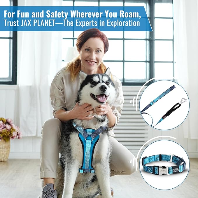 No-Pull Dog Harness with Handle - Escape Proof, Anti-Pulling, Grip Control, Multi-Angle Reflective for Safe Walks & Training, Easy On & Off, Metal Buckle–Pet Harness, Medium/Large Dogs- H4- Black