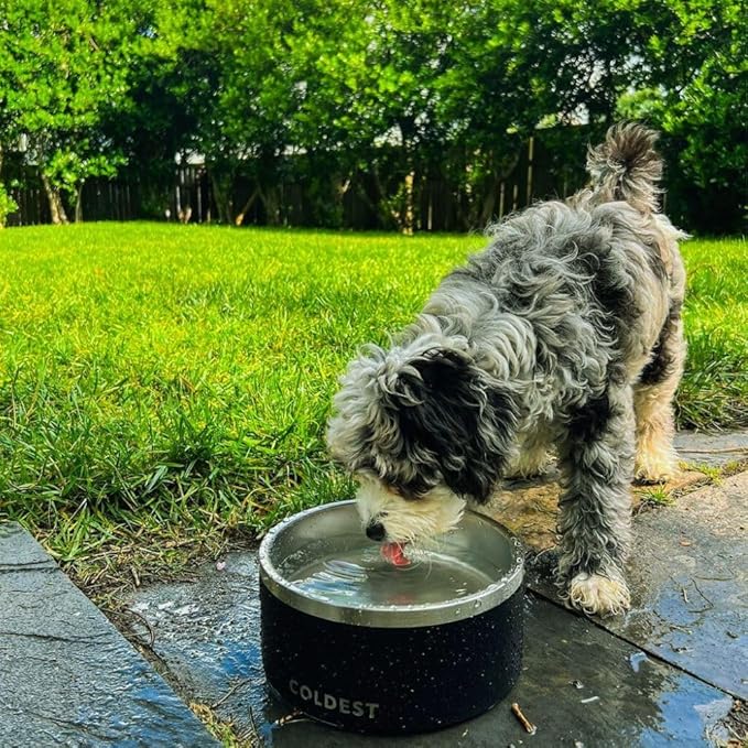Coldest Dog Bowl - Anti Rust Metal, Non Slip, 3 Layers Insulated Stainless Steel Dog Bowls - Spill Proof & Heavy Duty - Water Bowl for Dogs, Cats & Pets, Dish Washer Safe (200 oz, Terraform Green)