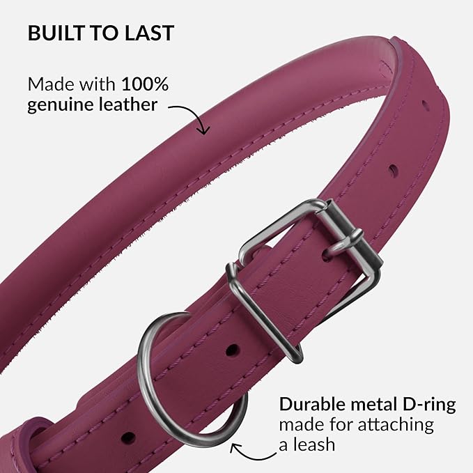 CollarDirect Rolled Leather Dog Collar, Soft Padded Round Puppy Collar, Handmade Genuine Leather Collar Dog Small Large Cat Collars 13 Colors (6 Inch, Pink Smooth)