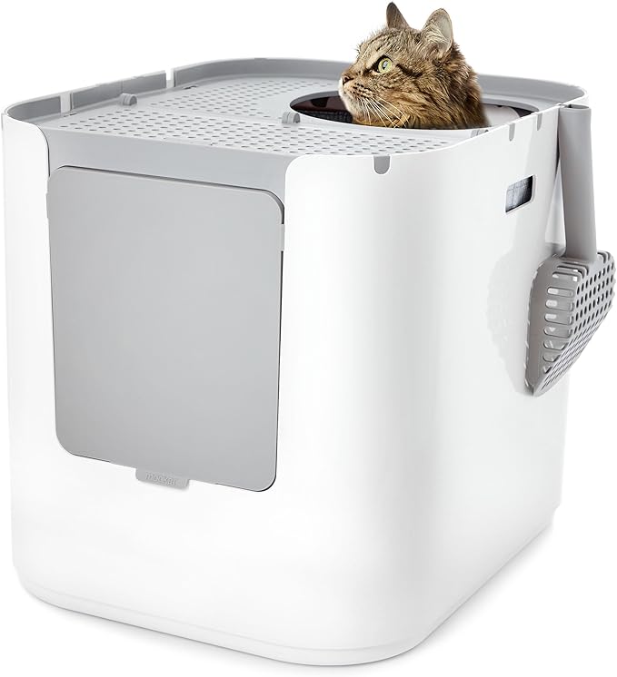 Modkat® XL Litter Box, Top or Front-Entry Configurable, Full Height Seamless Base, Reusable Litter Liners, Sifting Litter Scoop, 2X Bamboo Charcoal Filters - Black
