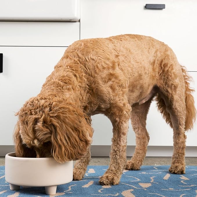 Waggo Uplift Ceramic Dog Bowl for Small Medium and Large Breeds - Heavyweight and Durable Pet Food and Water Dish Crock, Dishwasher Safe, Modern, Elevated Feeder (Vintage Grey, Large)