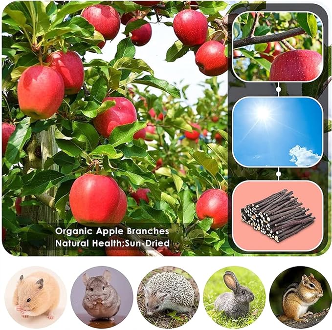 Rabbit Toys, 3 Types Hamster Chew Toys for Teeth Grinding, Improve Dental Health, Best Bunny Toys for Rabbits, Guinea Pigs, Chinchillas, Hamsters