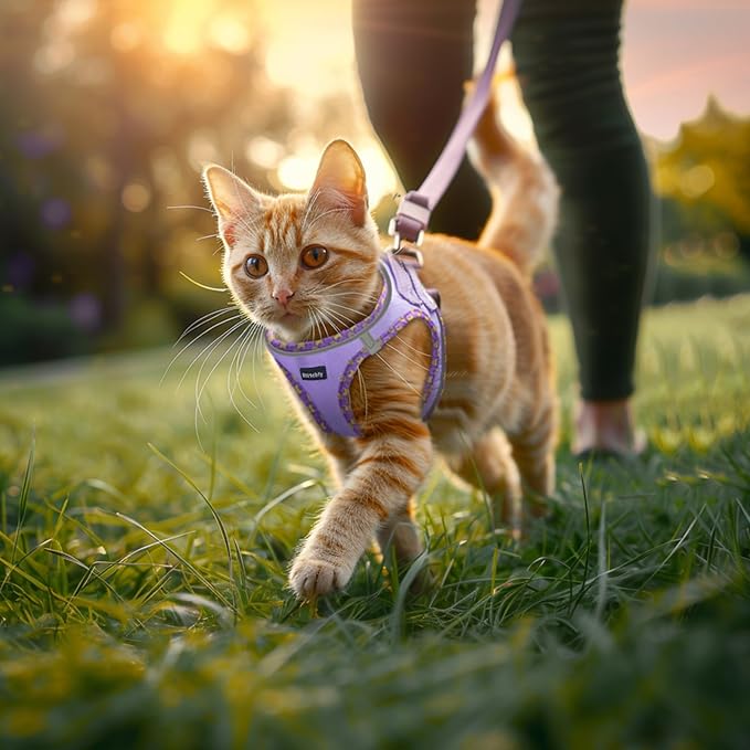 Rttochfy Cat Harness and Leash Set, Escape Proof Kitten Harness, Soft and Breathable Vest with Reflective Strip, Easy to Wear for Cats Walking and Traveling (Pink, XXS)