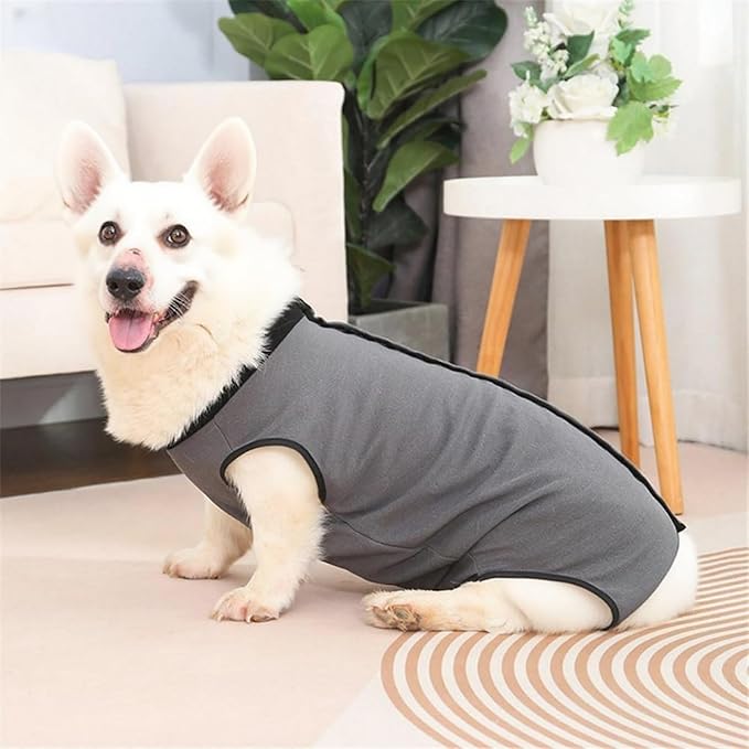 Dog Surgery Recovery Suit,Abdominal Surgical Suit for Dogs,Recovery Suit for Dogs,Prevent Licking Surgical Wound Dog Cone Alternative Grey M