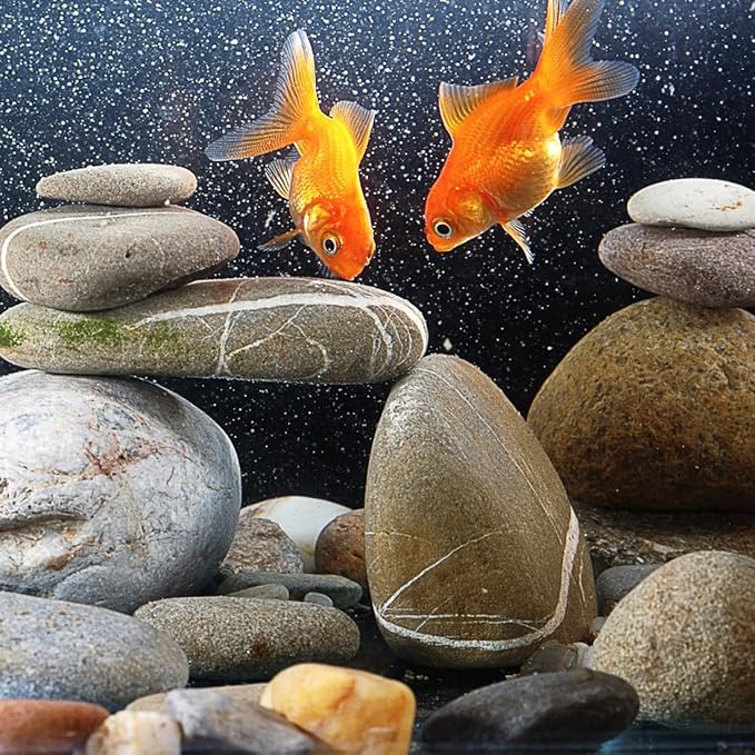 40lbs Natural River Rocks, 2-3" Premium Pebbles for Garden and Landscape Design, Hand-Picked Smooth Stones for Fish Tank, Flower Pots, Indoor Water Fountains, Pathways, Backyard