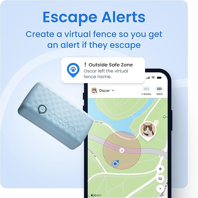 Tractive Smart Cat GPS Tracker | Real-Time Location & Wellness Monitoring for Cats 6.5 lbs+ | Territory & Location History | Up to 5-Day Battery | Breakaway Collar Included (Mint)