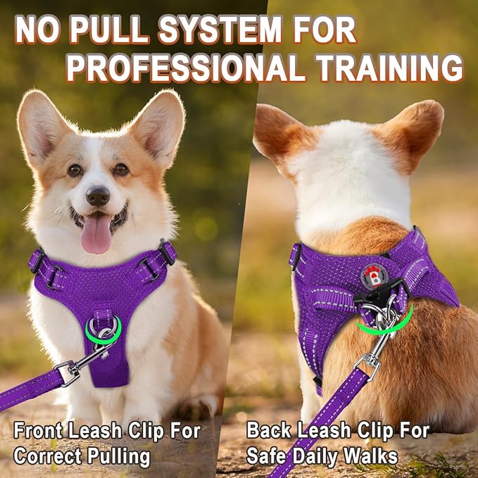 Dog Harness Step in Dog Vest Harness, Reflective Adjustable Puppy No Pull Harness Breathable Soft for Small and Medium Dogs Cats, Purple, XXS