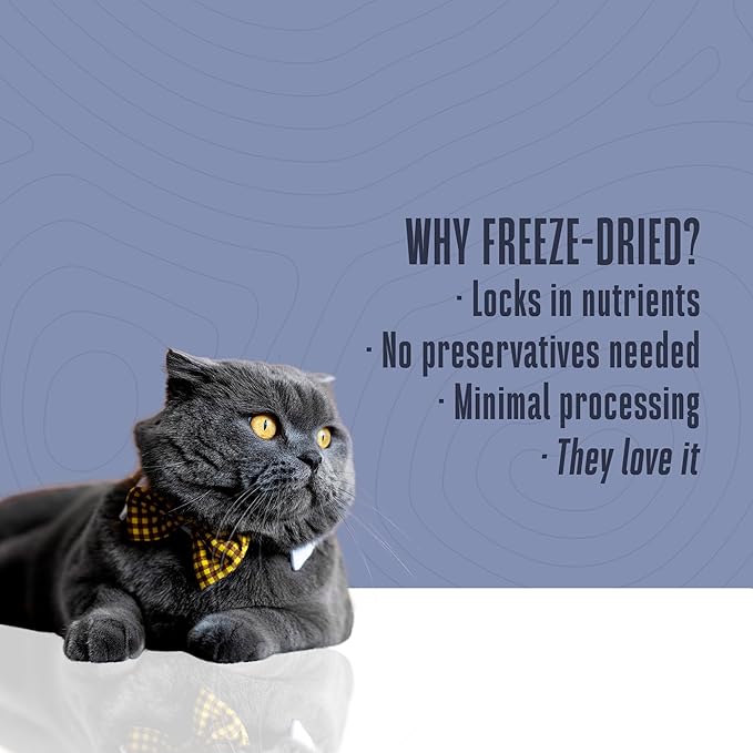 Whole Life Cat Just One Salmon Freeze Dried Cat Treats - Human Grade High Protein Food, Healthy Training Snacks, Freeze Dried Salmon Food Toppers, USA Made Natural Treats - 1 oz (Pack of 1)