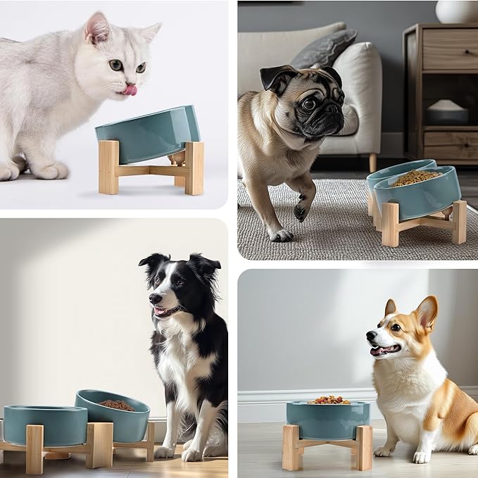 SPUNKYJUNKY 15° Slanted Ceramic Dog and Cat Bowl with Wooden Stand, Tilted Bulldog Food and Water Bowl No Slip Non-Spill for Cats Medium Dogs Big Face Pets 13.5 OZ (1.7 Cups, Light Green × 2)