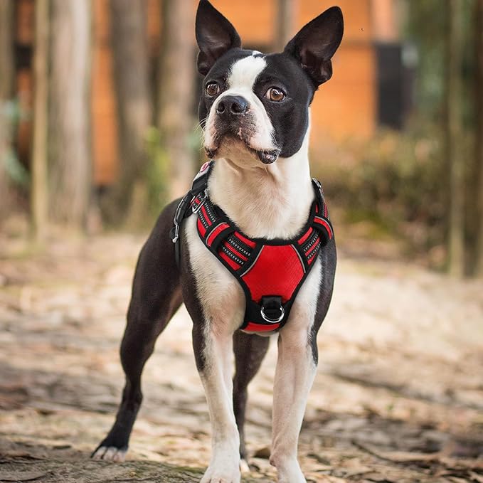rabbitgoo Dog Harness Small Sized, No Pull Dog Vest with 3 Buckles, Adjustable Soft Padded Pet Harness with Easy Control Handle and Reflective Strips, Red, S
