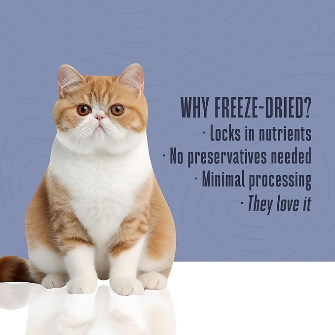 Whole Life Cat Just One Turkey Freeze Dried Cat Treats - Human Grade High Protein Food, Healthy Training Snacks, Freeze Dried Turkey Food Toppers, USA Made Natural Treats - 2.5 oz (Pack of 1)