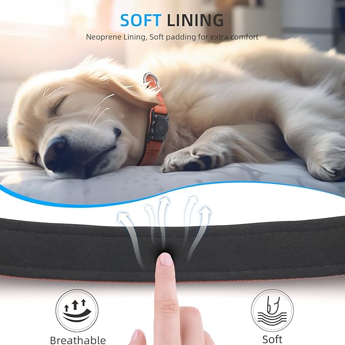 Upgraded AirTag Dog Collar, IP68 Waterproof Air Tag Dog Collar Holder, Reflective, Ultra-Durable, Comfortable Padded, Heavy Duty Dog Collars for Small Medium Large Dogs (M (12.6"-17.1"), Orange)