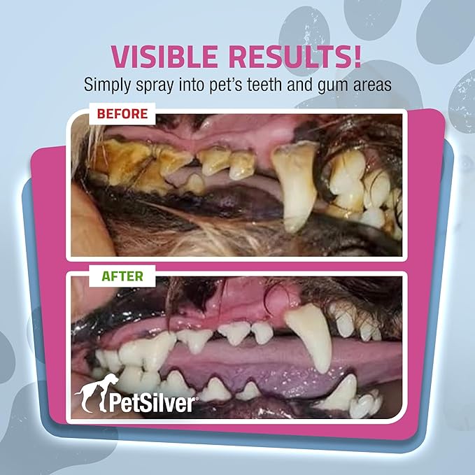 PetSilver Teeth & Gum Spray - Dog Dental & Teeth Cleaning Spray for Plaque & Tartar Build-Up Reduction - Natural Breath Freshener for Dogs and Cats - Patented Chelated Silver - Made in The USA - 4 oz