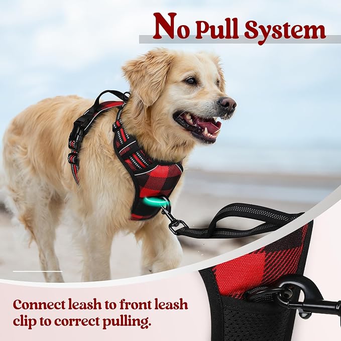 rabbitgoo Dog Harness No Pull with 2 Leash Clips, Adjustable Soft Padded, Reflective Oxford No Choke Pet Vest with Easy Control Handle for Small Dogs, Red Plaid, S