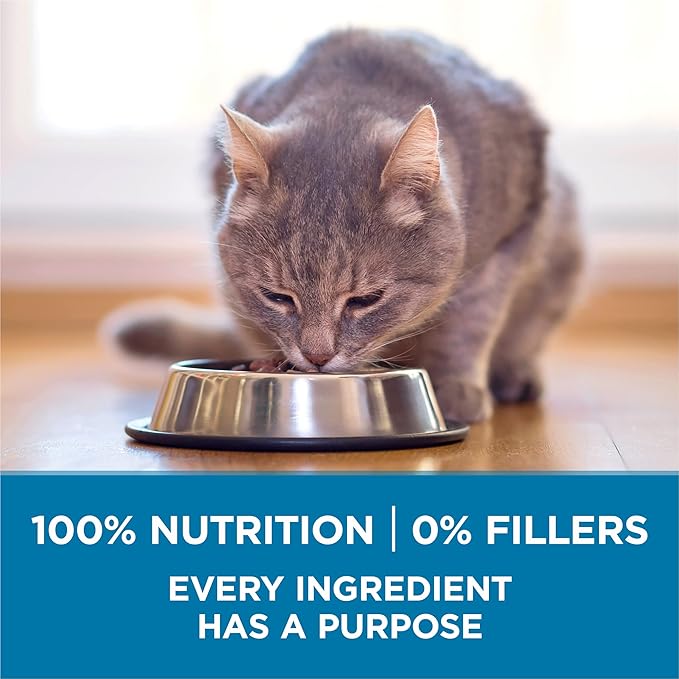 Purina ONE High Protein, Natural Senior Dry Cat Food, Indoor Advantage Senior+ - 7 Lb. Bag
