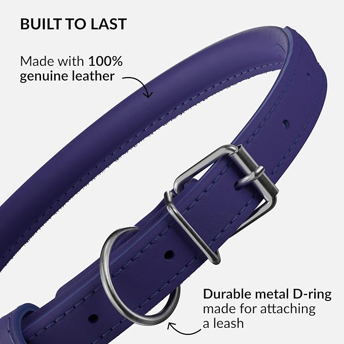 CollarDirect Rolled Leather Dog Collar, Soft Padded Round Puppy Collar, Handmade Genuine Leather Collar Dog Small Large Cat Collars 13 Colors (6 Inch, Purple Smooth)