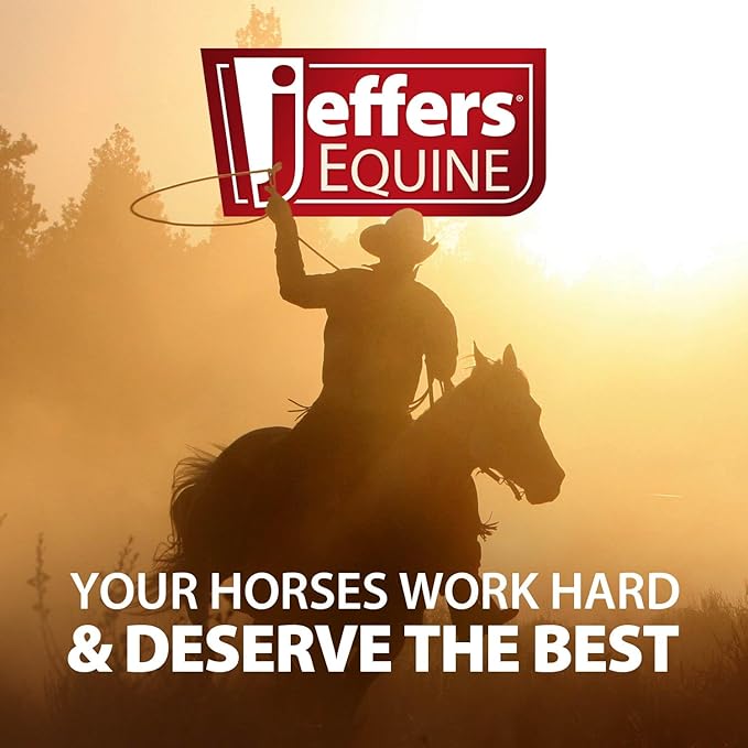 Jeffers Motion Potion Pellets Joint Supplement for Horses, 10 lb- Glucosamine, MSM, Chondroitin, Hyaluronic Acid, & Vitamins. Daily Supplement for Safe, Easy to Feed, Fast Acting for Equine