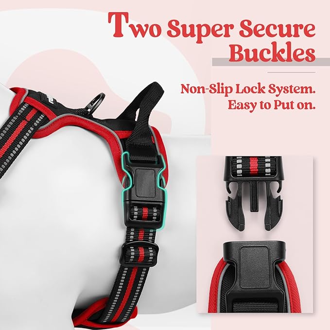 rabbitgoo Dog Harness No Pull with 2 Leash Clips, Adjustable Soft Padded, Reflective Oxford No Choke Pet Vest with Easy Control Handle for Large Dogs, Black & Red, L