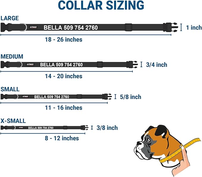 GoTags Reflective Personalized Dog Collar with Nameplate, Adjustable Dog Collar with Custom Engraved Steel Slide On Pet ID Tag, Silent, No Noise Dog Tag for Large Medium or Small (Charcoal, Large)