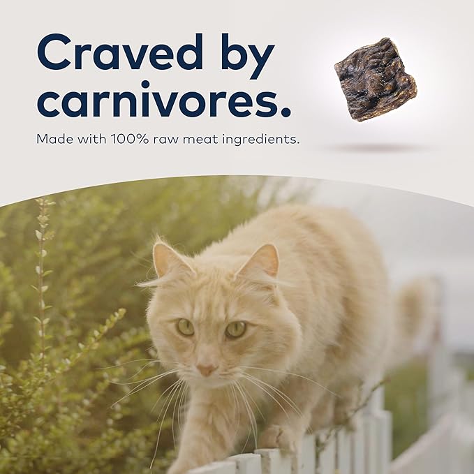 ZIWI Peak Air-Dried Cat Food – Beef - All Natural, High Protein, Grain Free, Limited Ingredient w/ Superfoods (14oz)