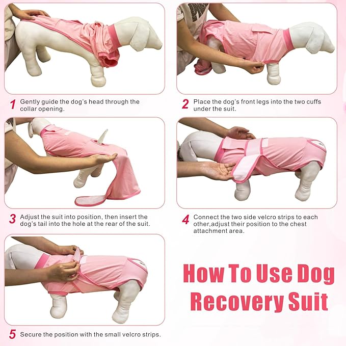 Idepet Dog Recovery Suit Female,Dogs Onesie Suit Surgery Male Breathable Pet Bodysuit for Spay Neuter E-Collar & Cone Alternative Surgical Suit Puppy Abdominal Anti Licking Wounds Shirt (Gray, M)