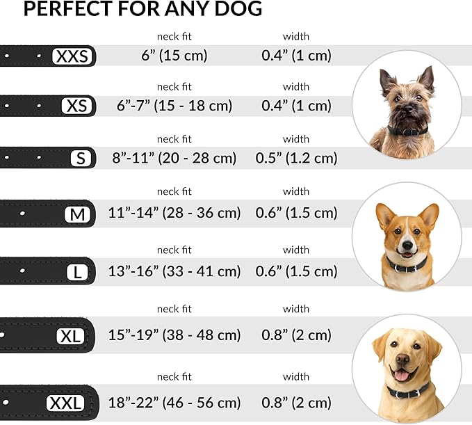CollarDirect Rolled Leather Dog Collar, Soft Padded Round Puppy Collar, Handmade Genuine Leather Collar Dog Small Large Cat Collars 13 Colors (8-11 Inch, Black Textured)