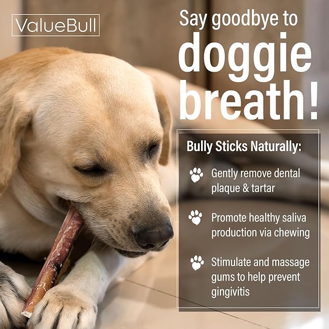 ValueBull Bully Sticks for Small Dogs, Thin 12 Inch, 100 Count - All Natural Dog Treats, 100% Beef Pizzles, Single Ingredient