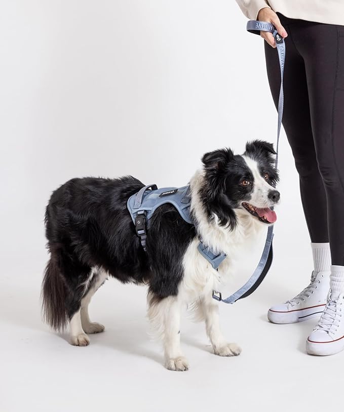 2025 New Edition, Fei & Eve MagEase Dog Harness - 3-Second Magnetic Buckles | 3-Point No-Pull Control | Heavy-Duty 900D Nylon | Dual Safety Handles | Breathable Mesh | Adjustable Fit | Medium, Blue