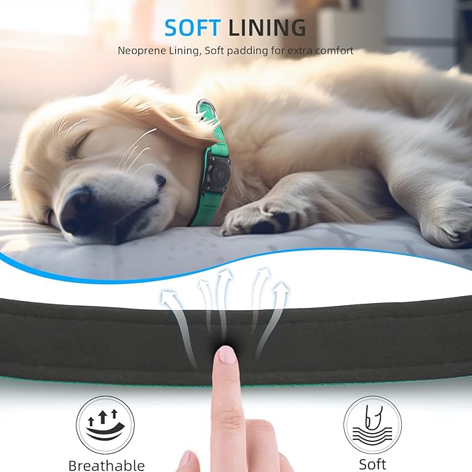 Upgraded AirTag Dog Collar, IP68 Waterproof Air Tag Dog Collar Holder, Reflective, Ultra-Durable, Comfortable Padded, Heavy Duty Dog Collars for Small Medium Large Dogs (XL (15.6"-22"), Teal)