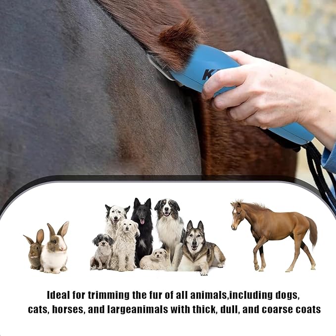 2PCS 10W Wide Blades for Dog Grooming Blades Compatible with Andis,Oster A5,Wahl km10 Dog Clippers, Detachable Dog Clipper Blade for Dog Cat Horse Animal,Size-#10W, 1/16-Inch Cut Length (1.5mm)