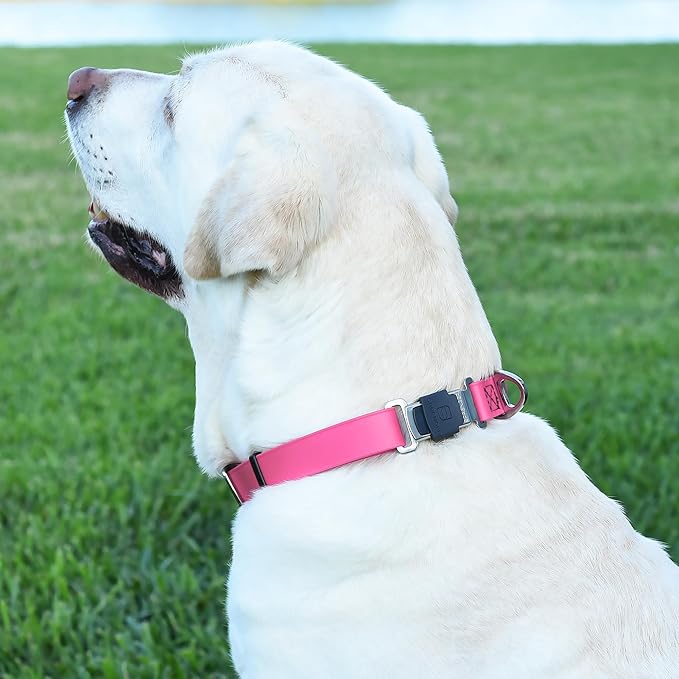 Dogline Biothane Waterproof Dog Collar with Herm Sprenger Stainless Steel Quick Release Buckle – Heavy Duty Tactical Durable Collar for Dogs – Comfortable and Safe Pet Collar, W 3/4" L 12-19", Pink