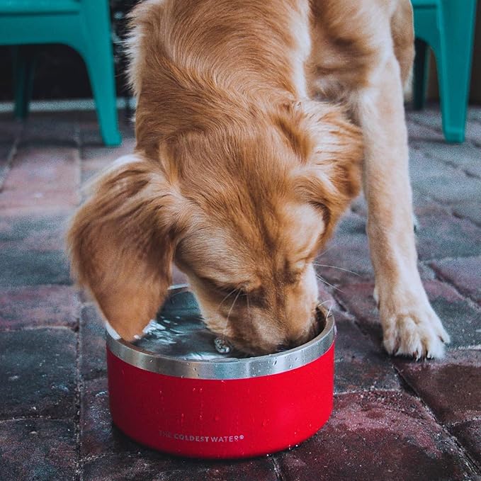 Coldest Dog Bowl - Anti Rust Metal, Non Slip, 3 Layers Insulated Stainless Steel Dog Bowls - Spill Proof & Heavy Duty - Water Bowl for Dogs, Cats & Pets, Dish Washer Safe (200 oz, Epic White)