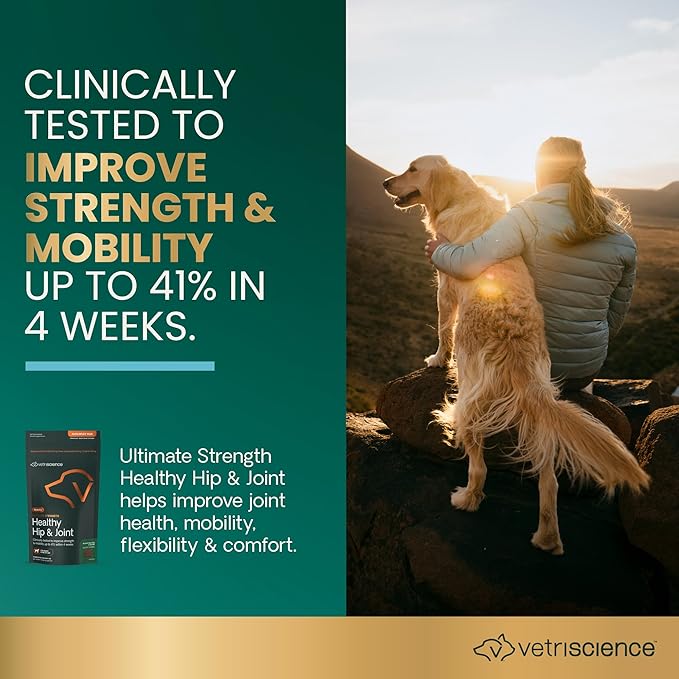 VetriScience Ultimate Strength Healthy Hip & Joint Chews, GlycoFlex Glucosamine, Chondroitin & Green-Lipped Mussel Joint Support Supplement for Dogs, Soothe Joint Discomfort, Peanut Butter, 120 Count