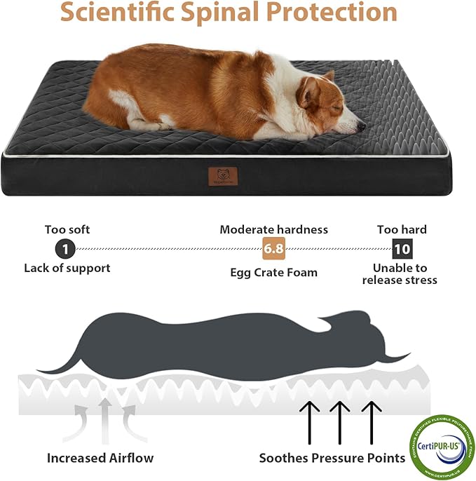 WNPETHOME Orthopedic XL Dog Beds Large Sized Dog, Waterproof Extra Large Dogs Bed with Removable Washable Cover, Multi-Needle Quilting Dogs Crate Bed