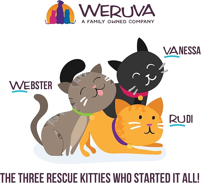 Weruva B.F.F. Play - Best Feline Friend Paté Lovers, Aw Yeah!, Chicken & Tuna Til' Then with Chicken & Tuna, 2.8oz Can (Pack of 12)
