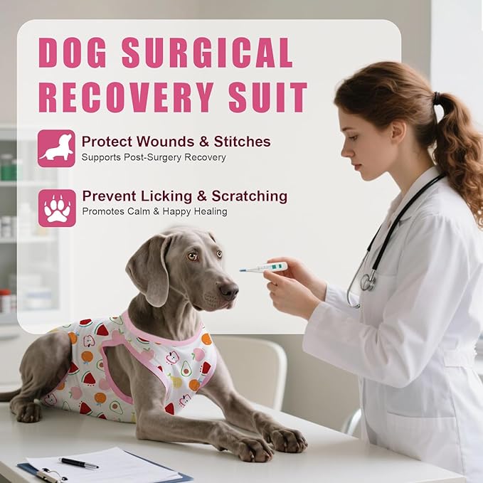 Recovery Suit for Dogs After Surgery, Professional Dog Surgical Suit for Female Spay, Male Neuter, E-Collar & Cone Alternative Dog Onesie for Abdominal Wounds Skin Disease, Fruit, XXL