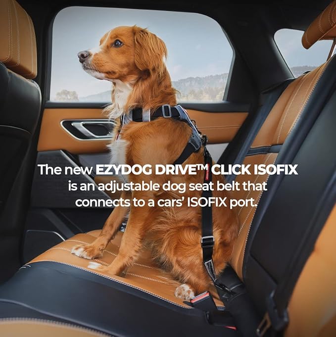 EzyDog Click ISOFIX Standard - Dog Seat Belt Car Harness Attachment for Dogs - Adjustable Dog Restraints Seatbelts for Car Travel and Safety - (17in - 26in, Black)