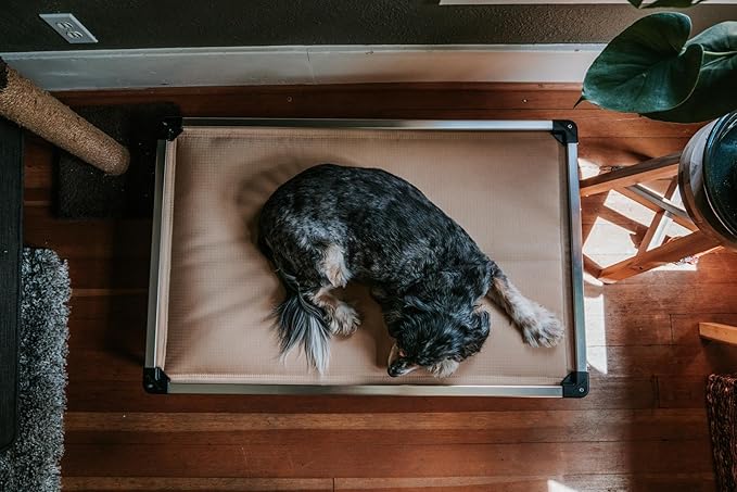 K9 Ballistics Chew Proof Armored Padded Dog Crate Bed, Virtually Indestructible, Legs Included (Obsidian Black, Medium (35" L x 22" W x 4.5" H))