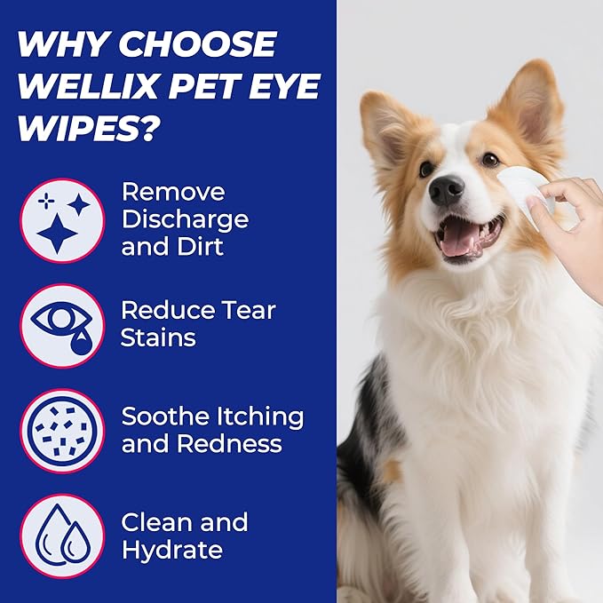 Wellix Dog & Cat Eye Wipes for Discharge and Crust - Pet Eye Wipes Tear Stain Remover for Dogs and Cats - Dog and Cat Grooming Wipes for Eyes and Wrinkle - 110 Counts