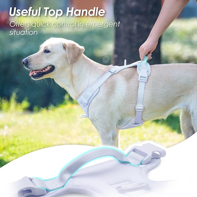 No Pull Dog Harness, Puppy Vest with Front Clip for Small Medium Large Sized Dog(Light Blue,L)
