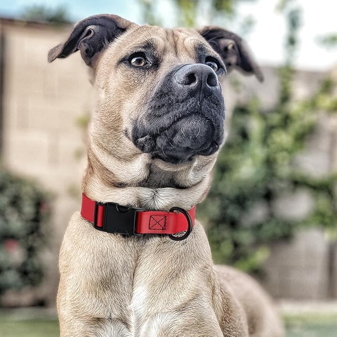 Dogline Biothane Waterproof Dog Collar with Quick Release Buckle Strong Coated Nylon Webbing with Odor- Proof for Easy Care Easy to Clean Fits Small Medium or Large Dogs, Red 3/4" W 12-19" L