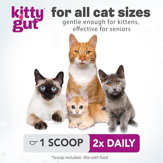 KittyGut 3-in-1 Organic Cat Probiotics & Postbiotic Supplement Powder- Made in USA-Probiotics for Cats Promote Gut Health and Cat Digestive Support, Diarrhea and Vomiting (60g)